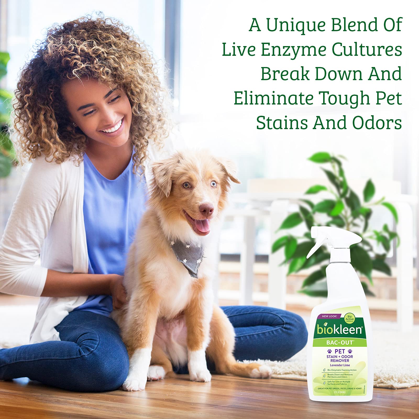 Applying Bac-Out to a carpet stain to neutralize odor.