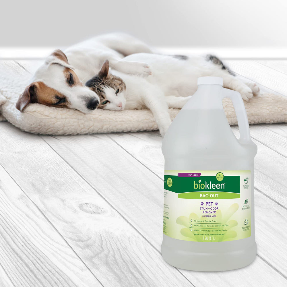 Biokleen Bac-Out eco-friendly, plant-based cleaner without phosphates or chlorine