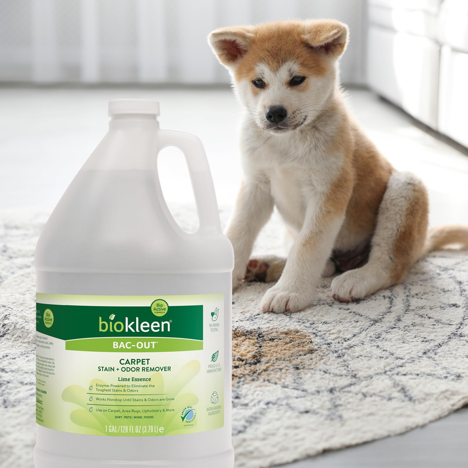 Fresh scent release after Bac-Out application on living room area