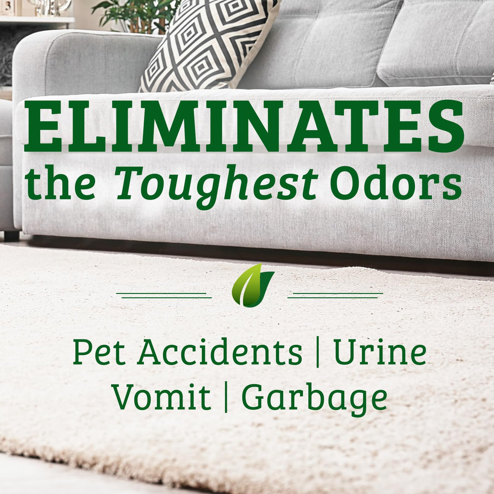 Biokleen Bac-Out enzymatic formula highlights stain removal on carpets