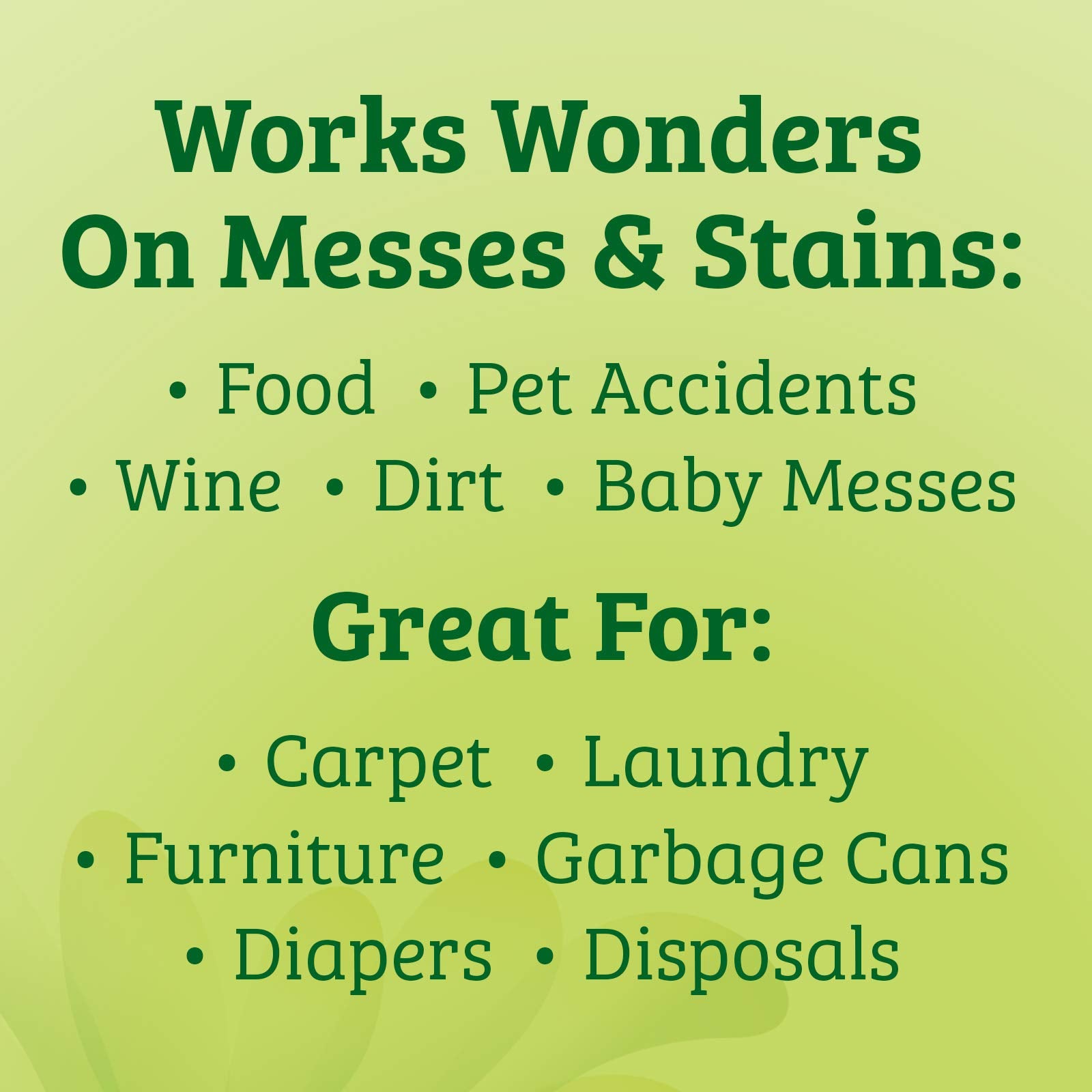 Biokleen Bac-Out Stain and Odor Remover cleans tough carpet stains during everyday messes.