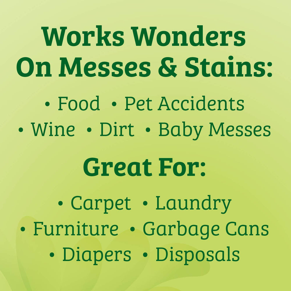 Biokleen Bac-Out Stain and Odor Remover cleans tough carpet stains during everyday messes.