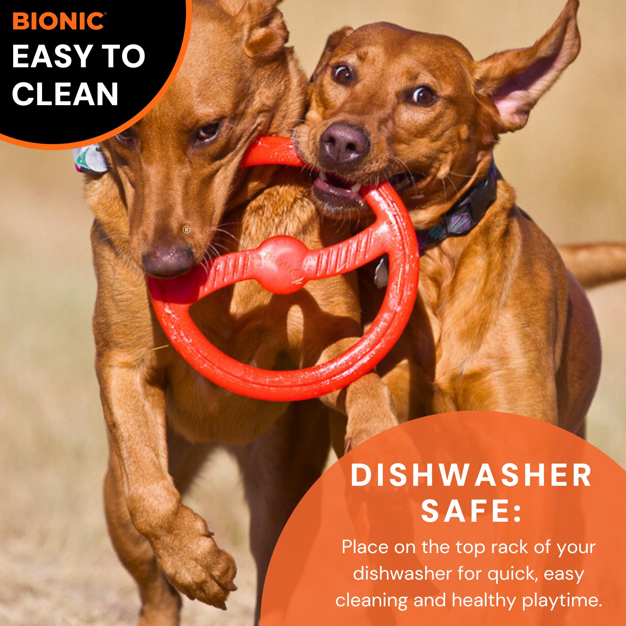 BIONIC Toss-N-Tug ring dishwasher-safe for quick cleanup after play.