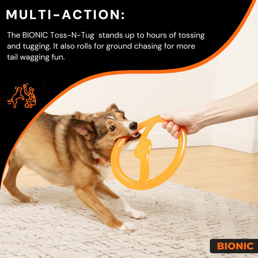 BIONIC Toss-N-Tug ring high-visibility orange for easy spotting during play.
