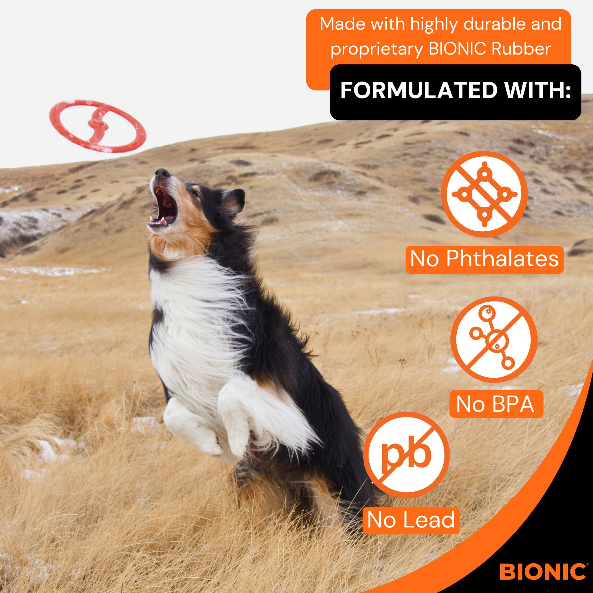 BIONIC Toss-N-Tug ring showing durability for roll-and-tug play across ground.