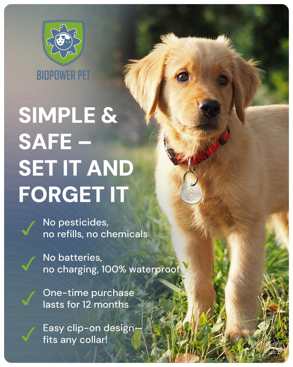 BIOPOWER PET Shield on a cat collar with safe, waterproof design