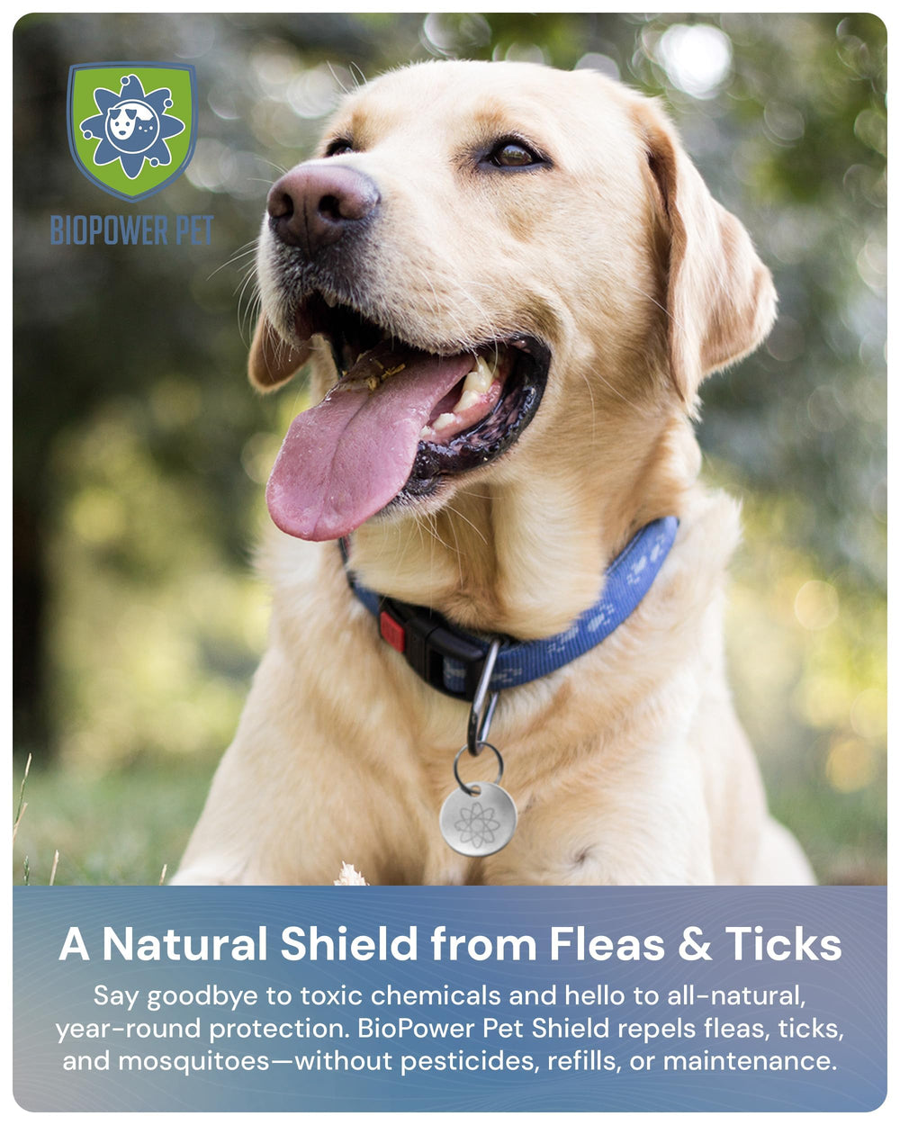 BIOPOWER PET Shield worn on a dog's collar showing year-long pest deterrence