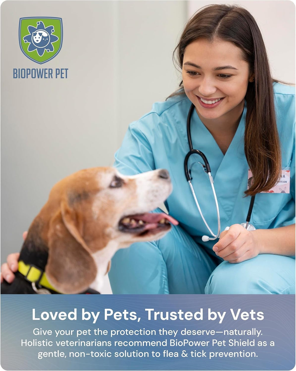 BIOPOWER PET Shield tag clipped on a pet collar for simple year-long coverage.
