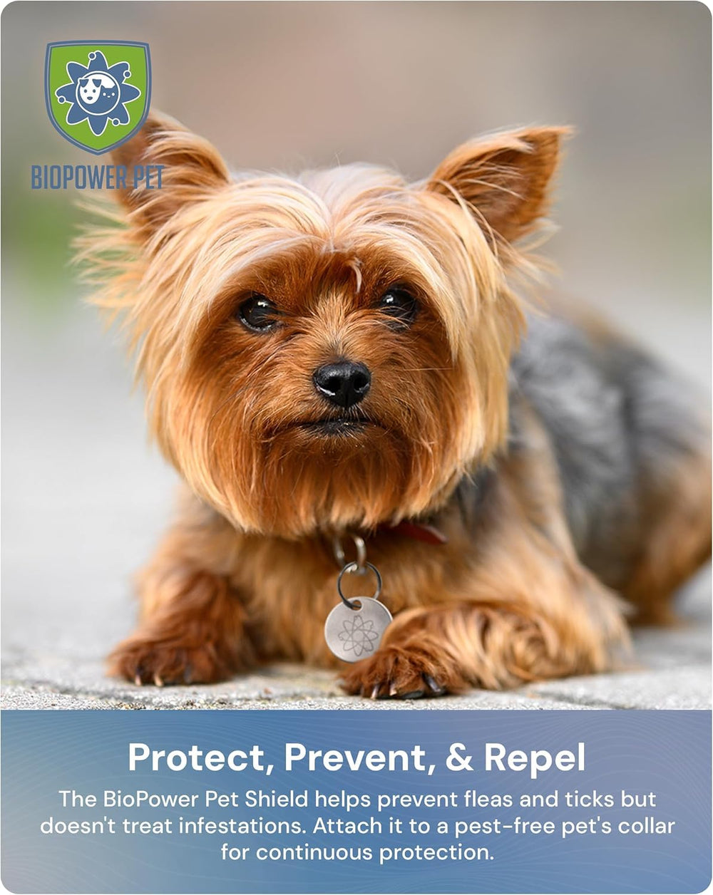 Vet-approved BIOPOWER PET Shield tag in homes embracing natural pet care.
