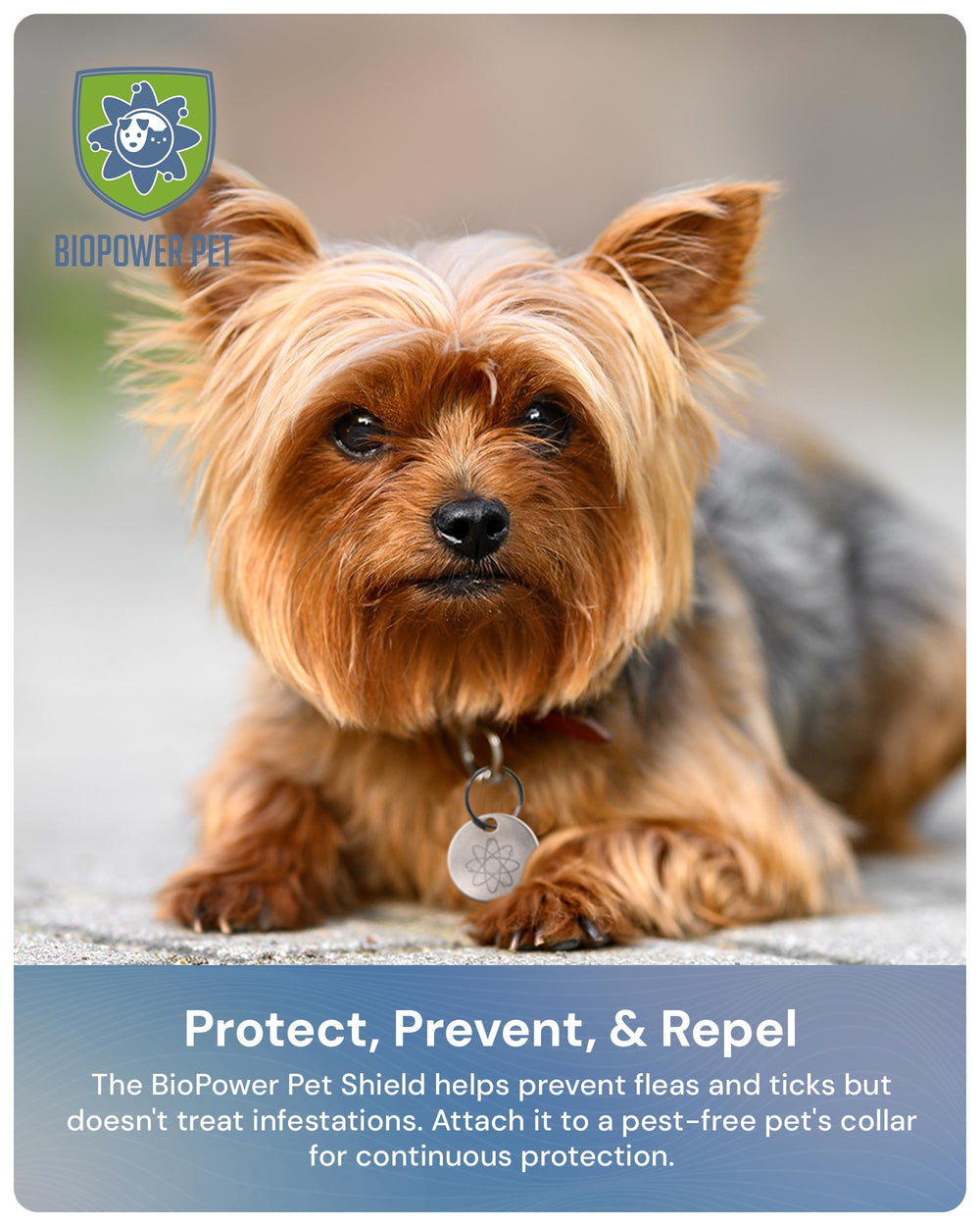 BIOPOWER PET Shield tag demonstrates toxin-free protection against pests