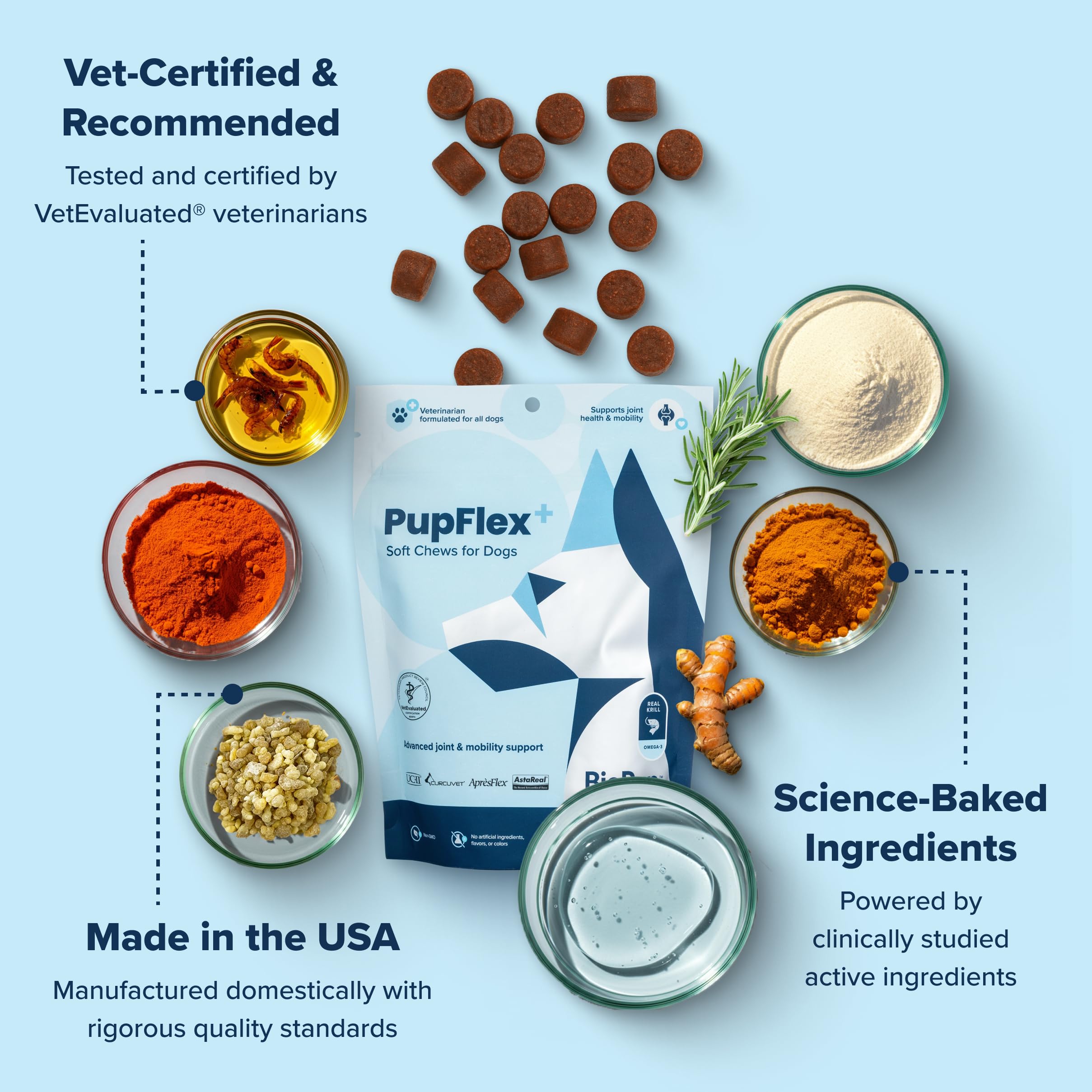 BioPup PupFlex+ packaging with clear dosing guidance for pet parents