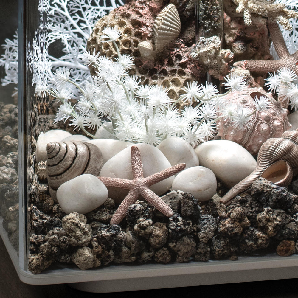 biOrb Ceramic Media showing bacteria colonization on ceramic pores during filtration