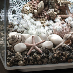 biOrb Ceramic Media showing bacteria colonization on ceramic pores during filtration