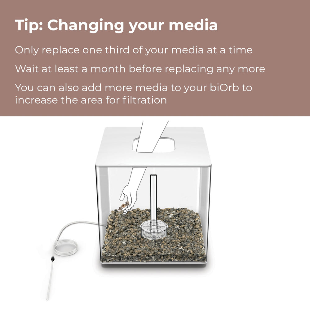 biOrb Ceramic Media installed in a biOrb tank with clear water