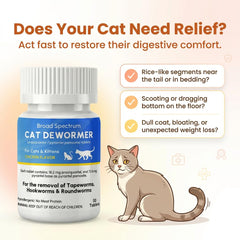 Cat during pill time with Bipinelyt for stress-free administration.