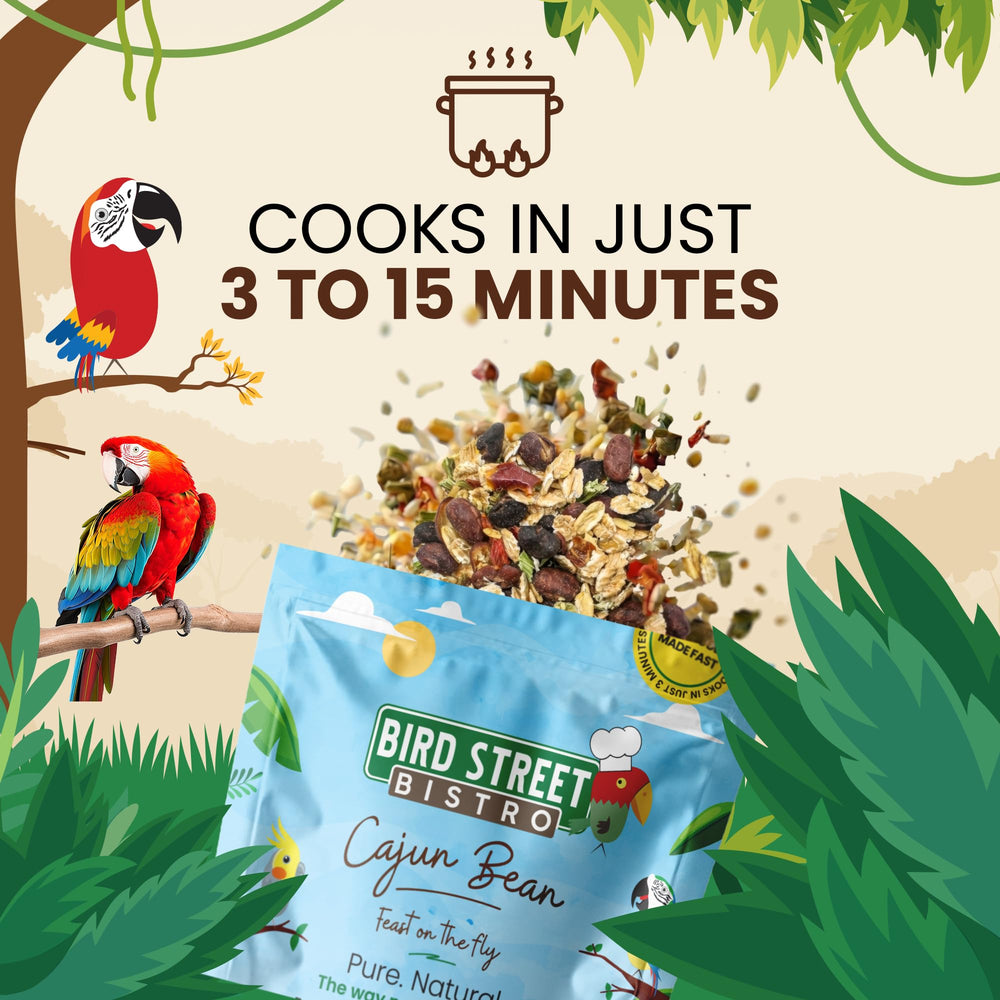 Bird Street Bistro Cajun Bean mix supports feather health and energy.
