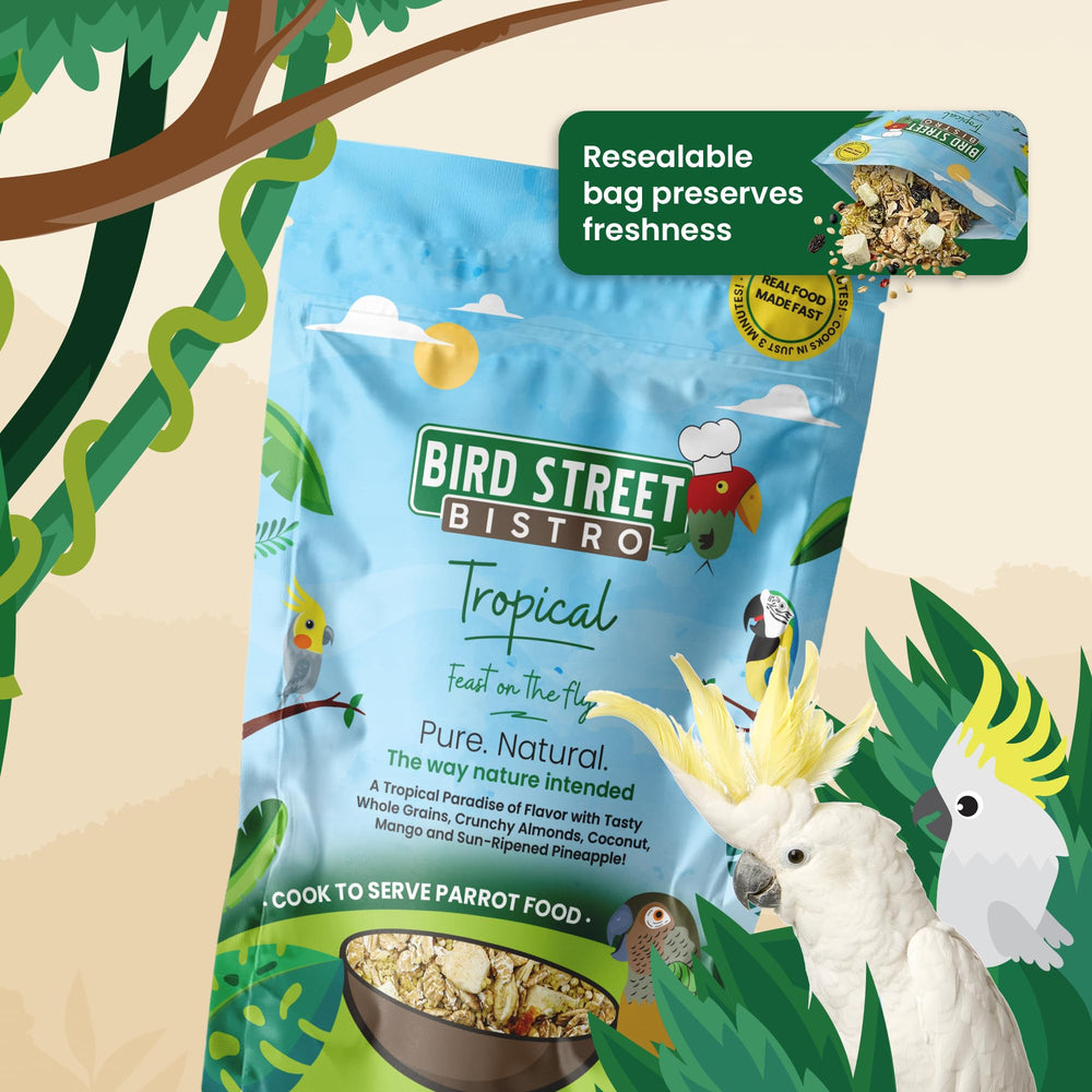 Bird Street Bistro organic grains close-up showing nutrient-rich mix for parrots