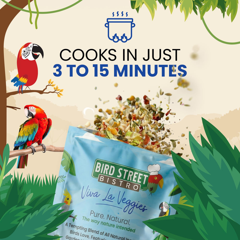 Bird Street Bistro serving-bowl shows ready-to-serve parrot food for feeding.