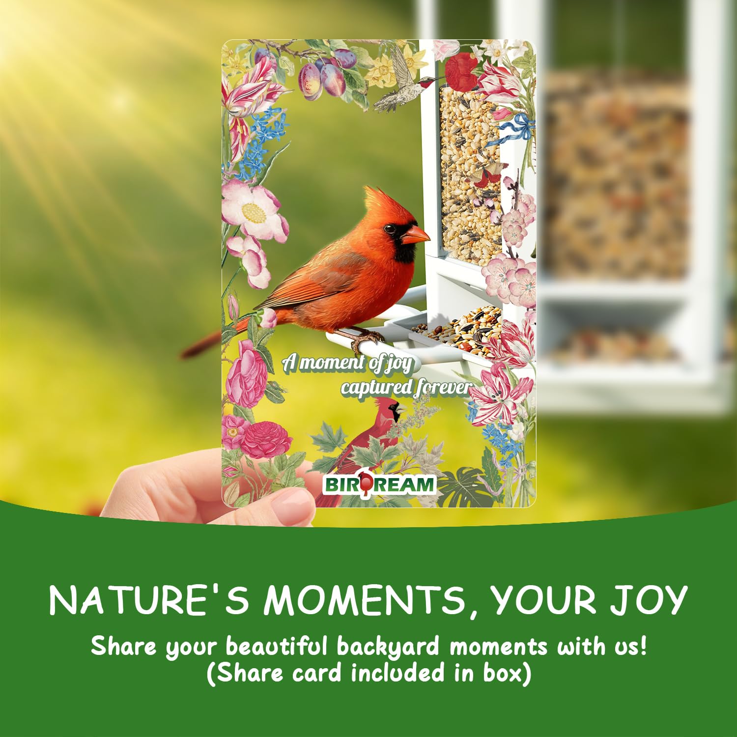 Birdream feeder makes a thoughtful gift for gardeners and families.