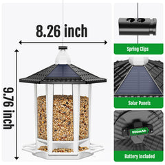 Birdream pagoda feeder in daylight creates a lively feeding station.