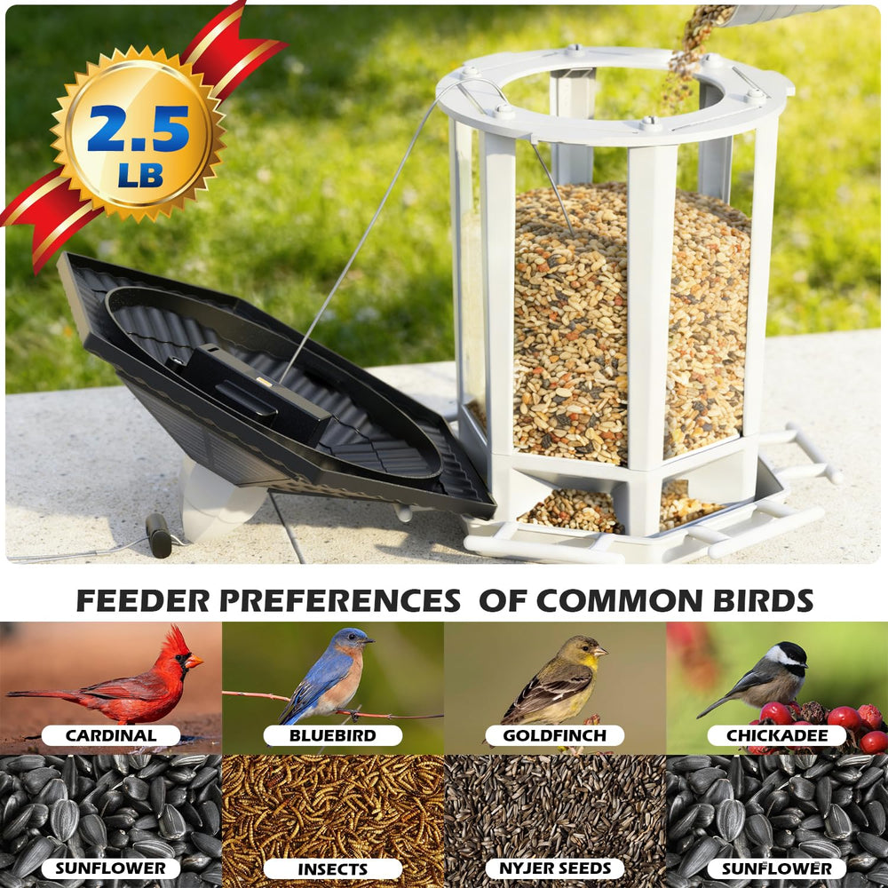 Birdream solar feeder at night emits a warm glow for serene evenings.