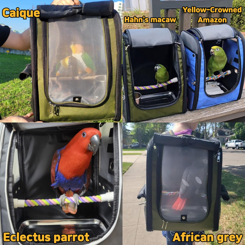 Birds Day front and side flap covers create a calming travel space.