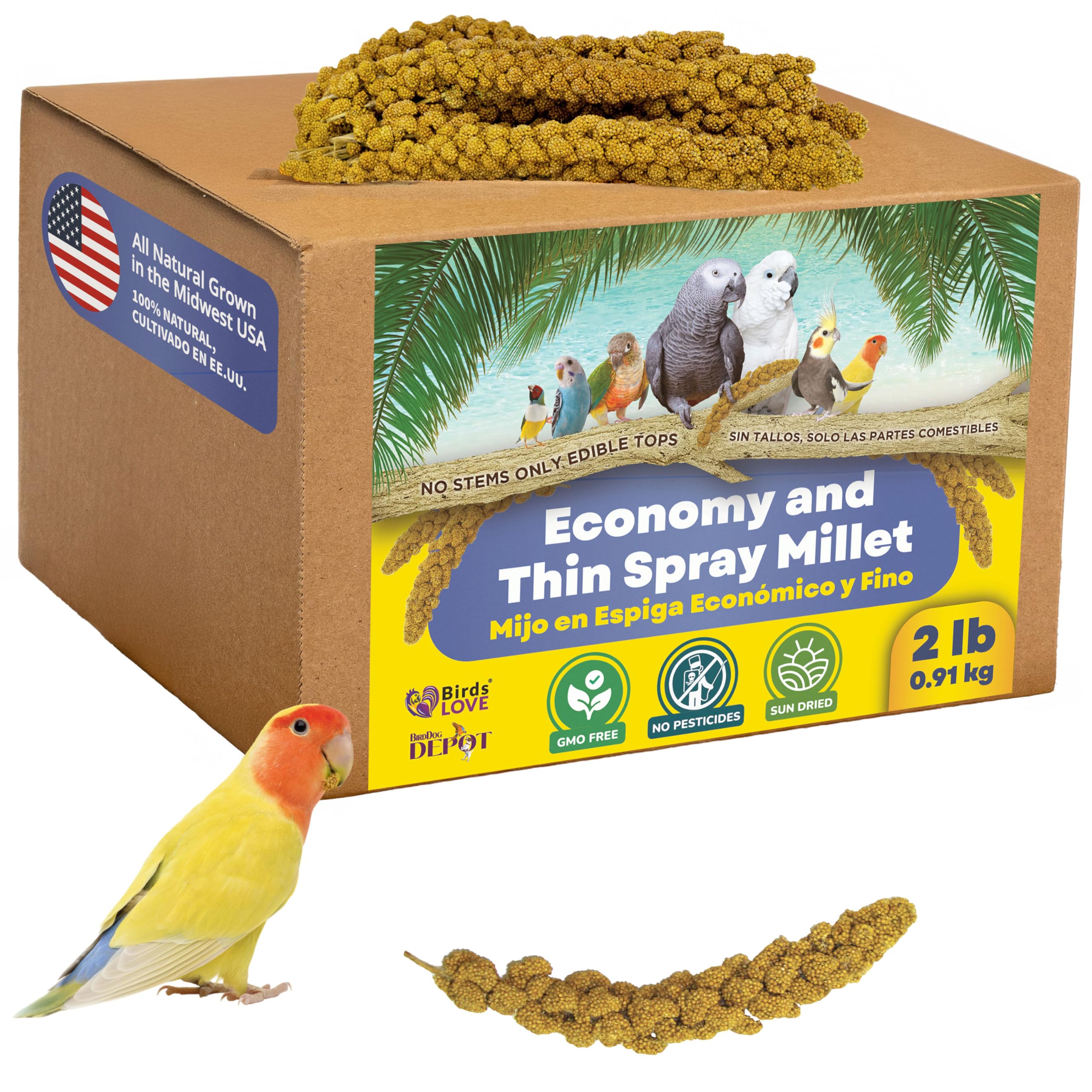 Birds LOVE 2lbs millet sprays foraging snack for birds