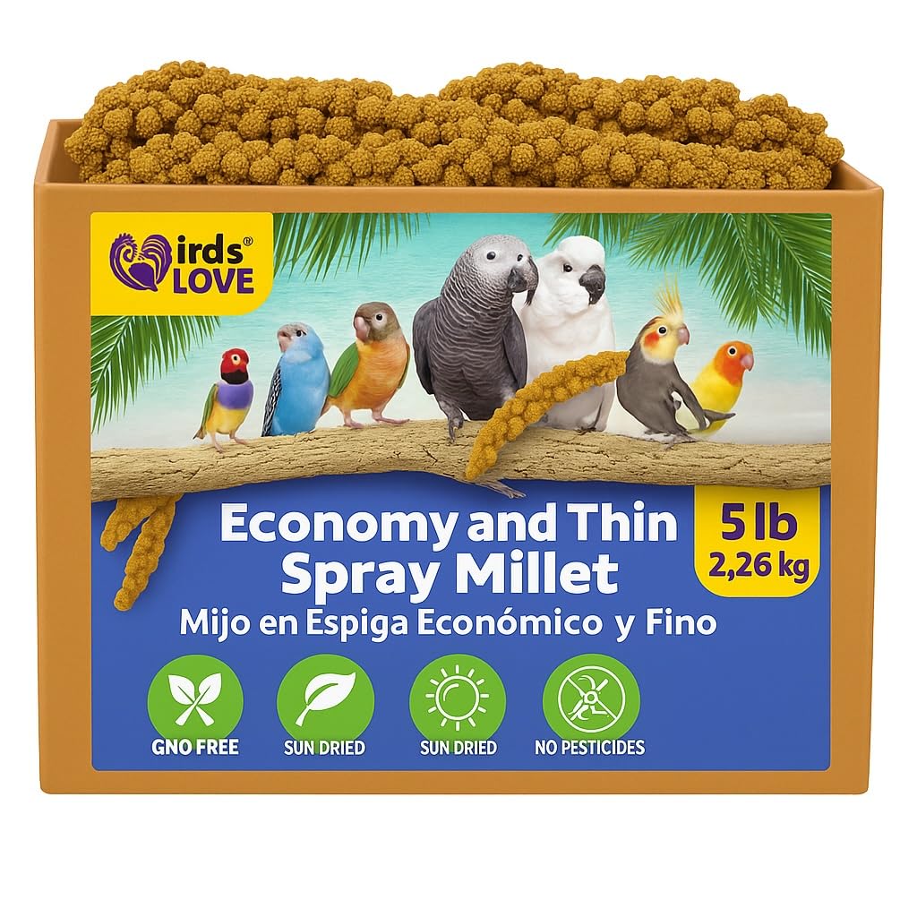 Birds LOVE 5lbs economy millet spray—whole, stem-free tops designed for easy feeding and natural foraging.
