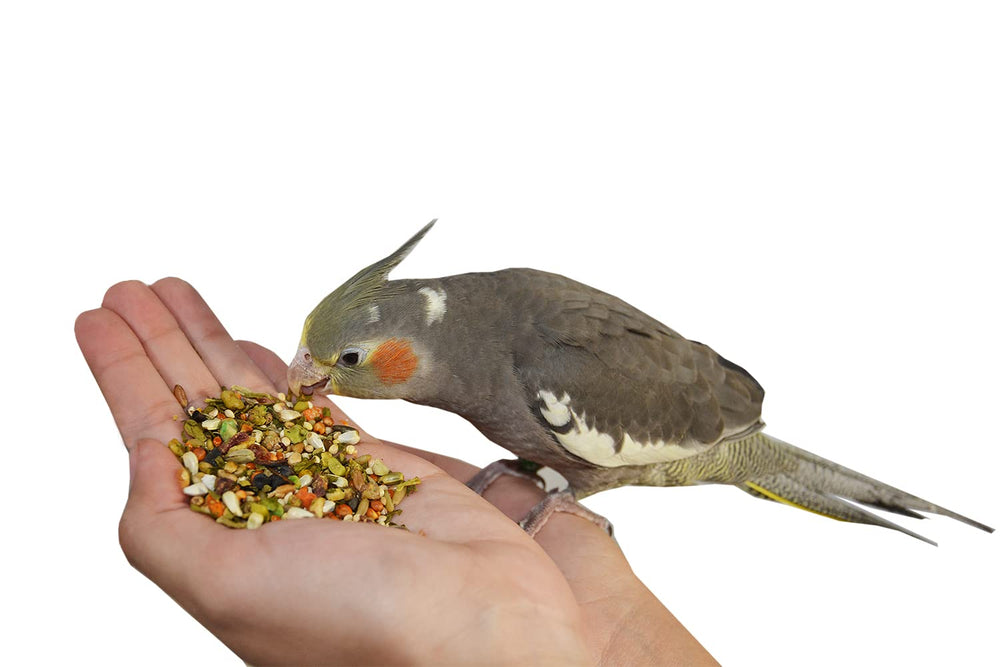 Birds LOVE 2 lb bag ideal for medium birds like cockatiels and conures