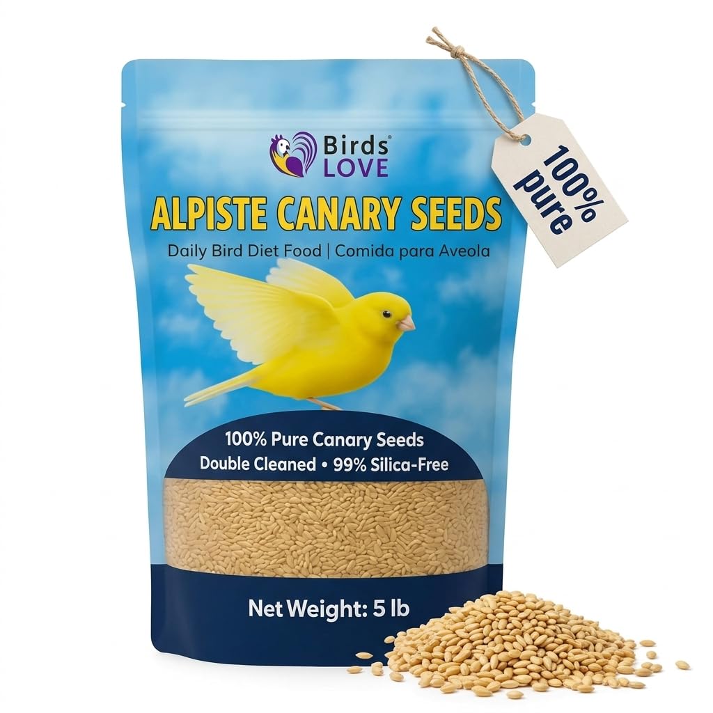 Birds LOVE alpiste canary seed bag – 5 lb, fresh and pure nutrition for small birds.