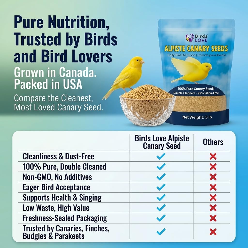 Birds LOVE double-cleaned canary seed close-up – low dust for healthier daily feeding.