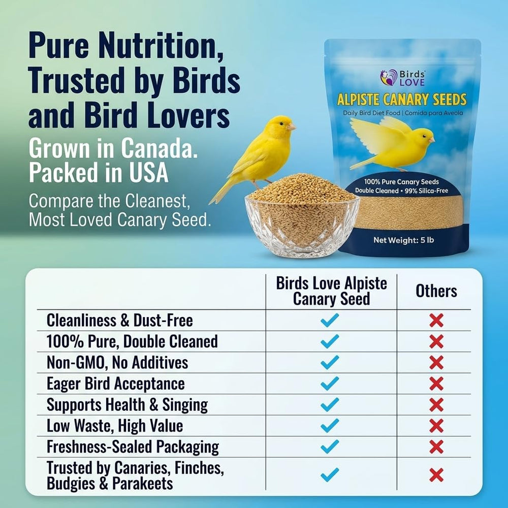 Birds LOVE double-cleaned canary seed close-up – low dust for healthier daily feeding.