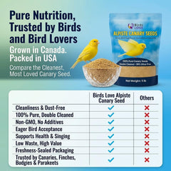 Birds LOVE double-cleaned canary seed close-up – low dust for healthier daily feeding.