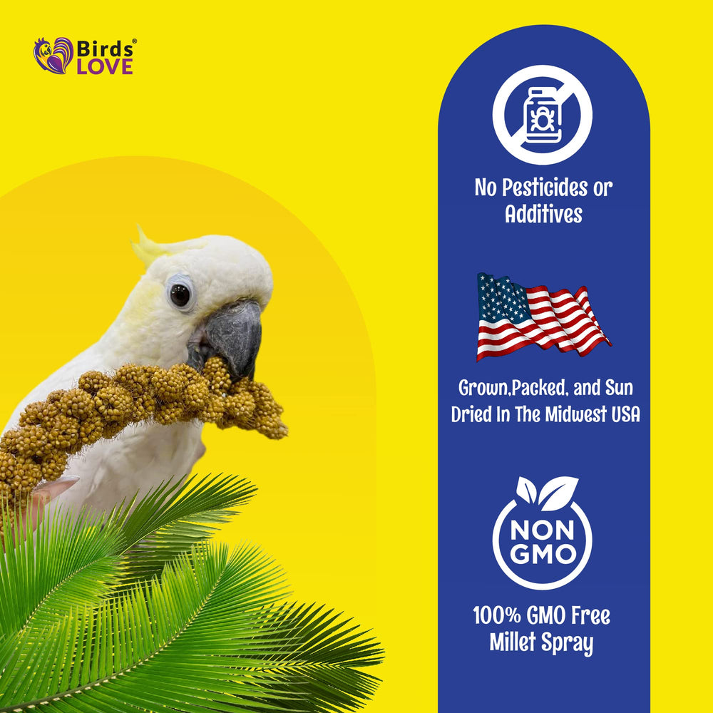 Birds LOVE cockatiel and lovebird millet treat for daily enjoyment