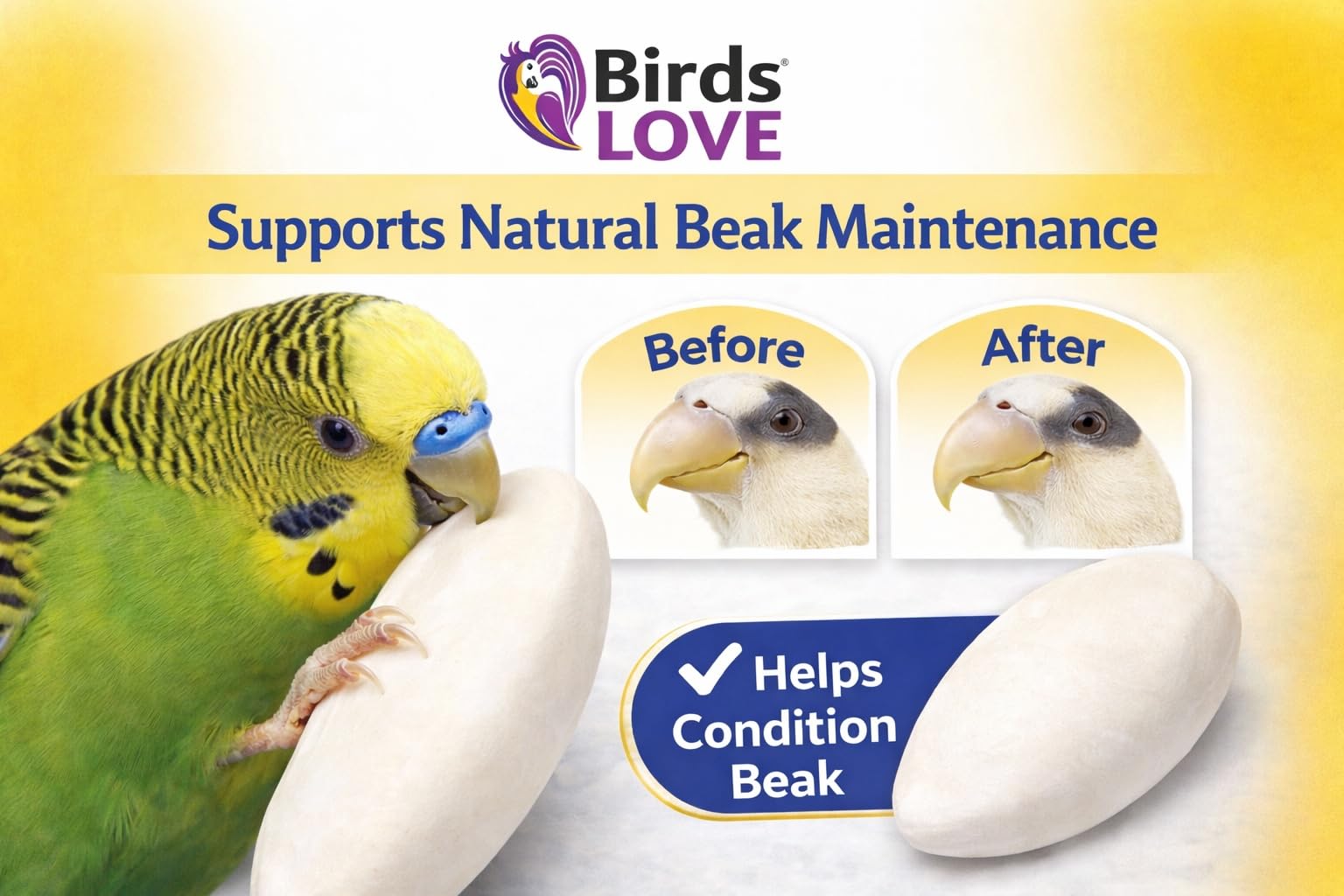 Birds LOVE consistent-size cuttlebone with holder for easy cage setup