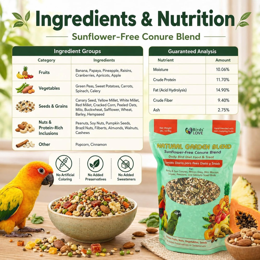 Birds LOVE conure mealtime snack invites colorful moments