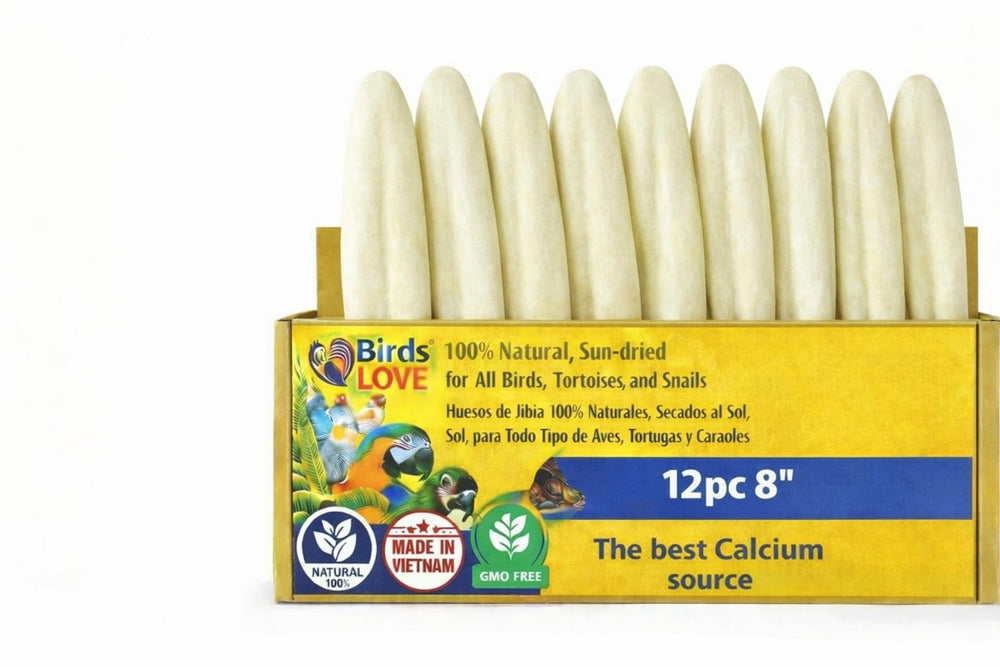 Birds LOVE cuttlebone 12-pack with holder in cage for easy access