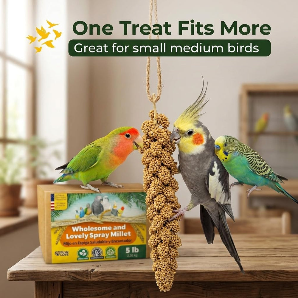 Parakeet and budgie friendly Birds LOVE millet great for daily snack routines.