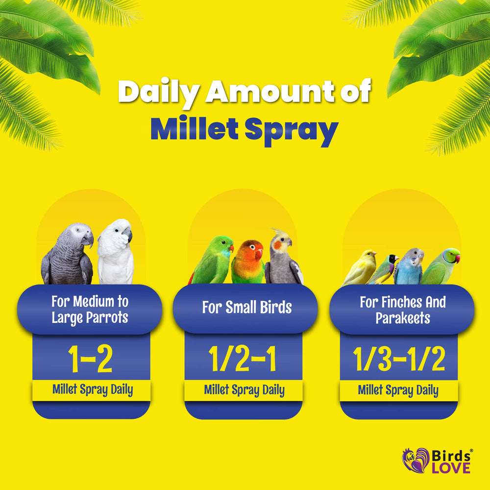 Birds LOVE easy-to-serve snacks ideal for daily cage time.