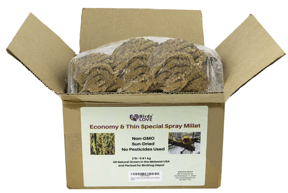 Birds LOVE easy feed millet clip for quick cage treats