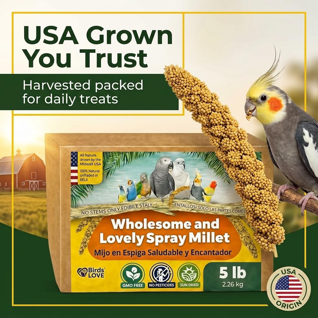Birds LOVE millet shown as enrichment tool for training and bonding time.