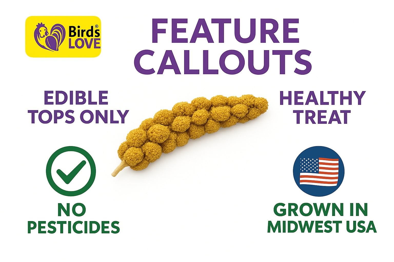 Birds LOVE GMO-free sun-dried millet—naturally preserved flavor and nutrients for a healthy-foraging snack.