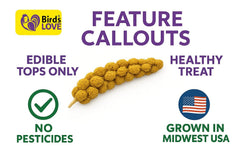 Birds LOVE GMO-free sun-dried millet—naturally preserved flavor and nutrients for a healthy-foraging snack.