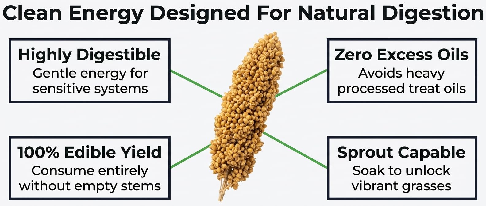 Birds LOVE Millet Tips & Tails long-lasting freshness for birds