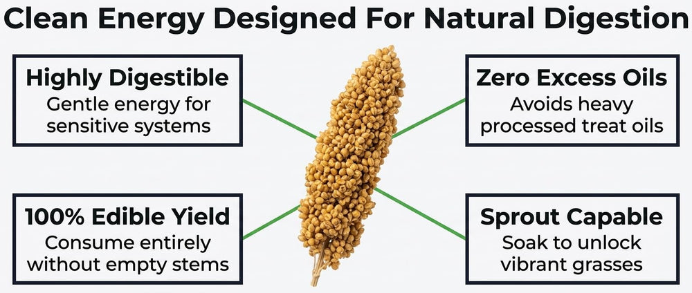 Birds LOVE Millet Tips & Tails long-lasting freshness for birds