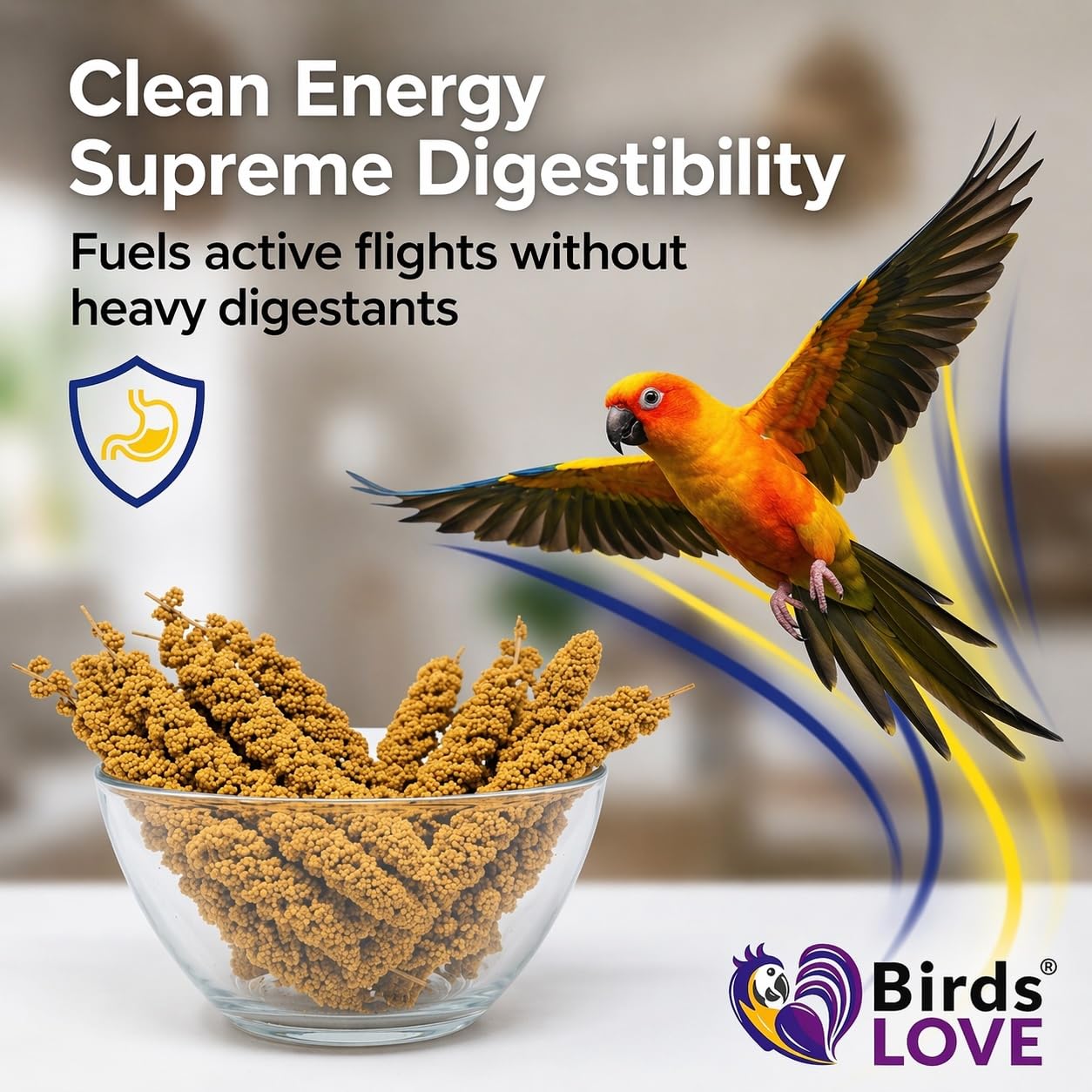 Birds LOVE Millet Tips & Tails low-fat digestible treat