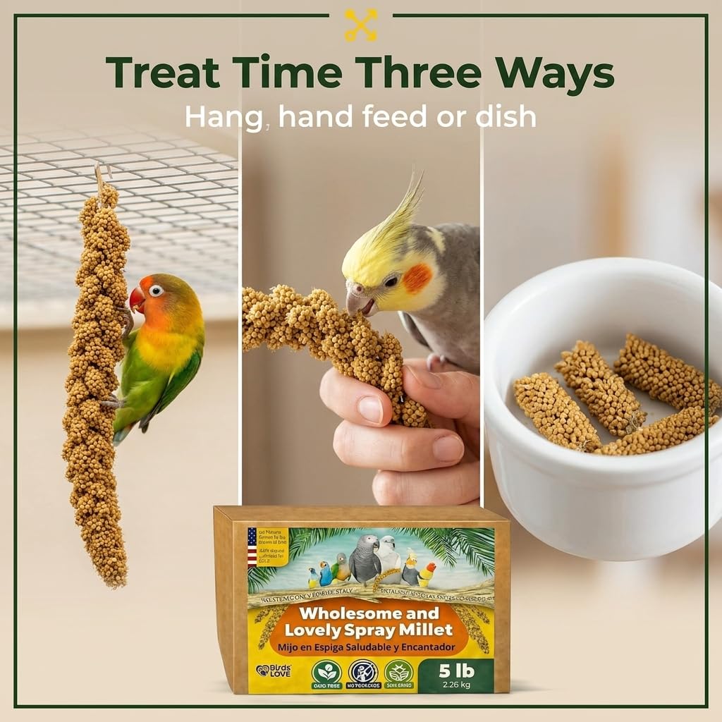 Bulk 5lb Birds LOVE millet delivers longer lasting bird food for households.
