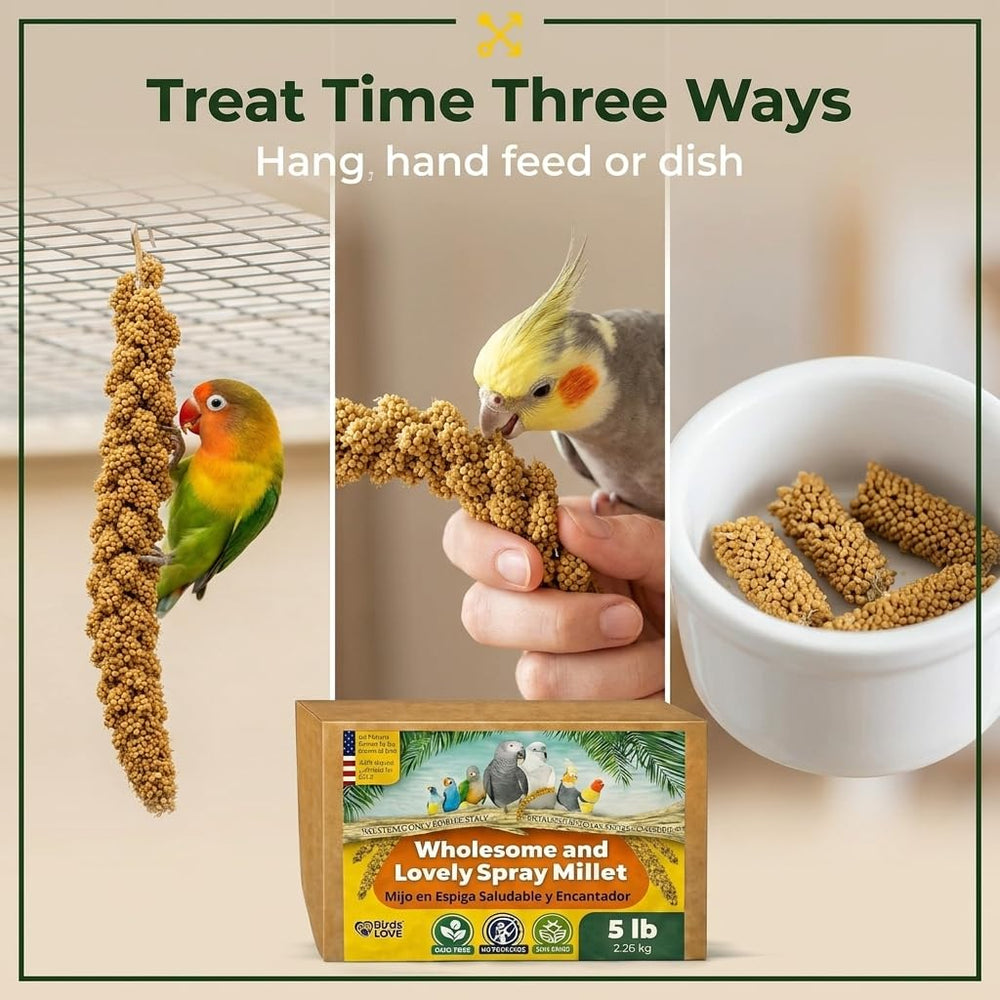 Bulk 5lb Birds LOVE millet delivers longer lasting bird food for households.