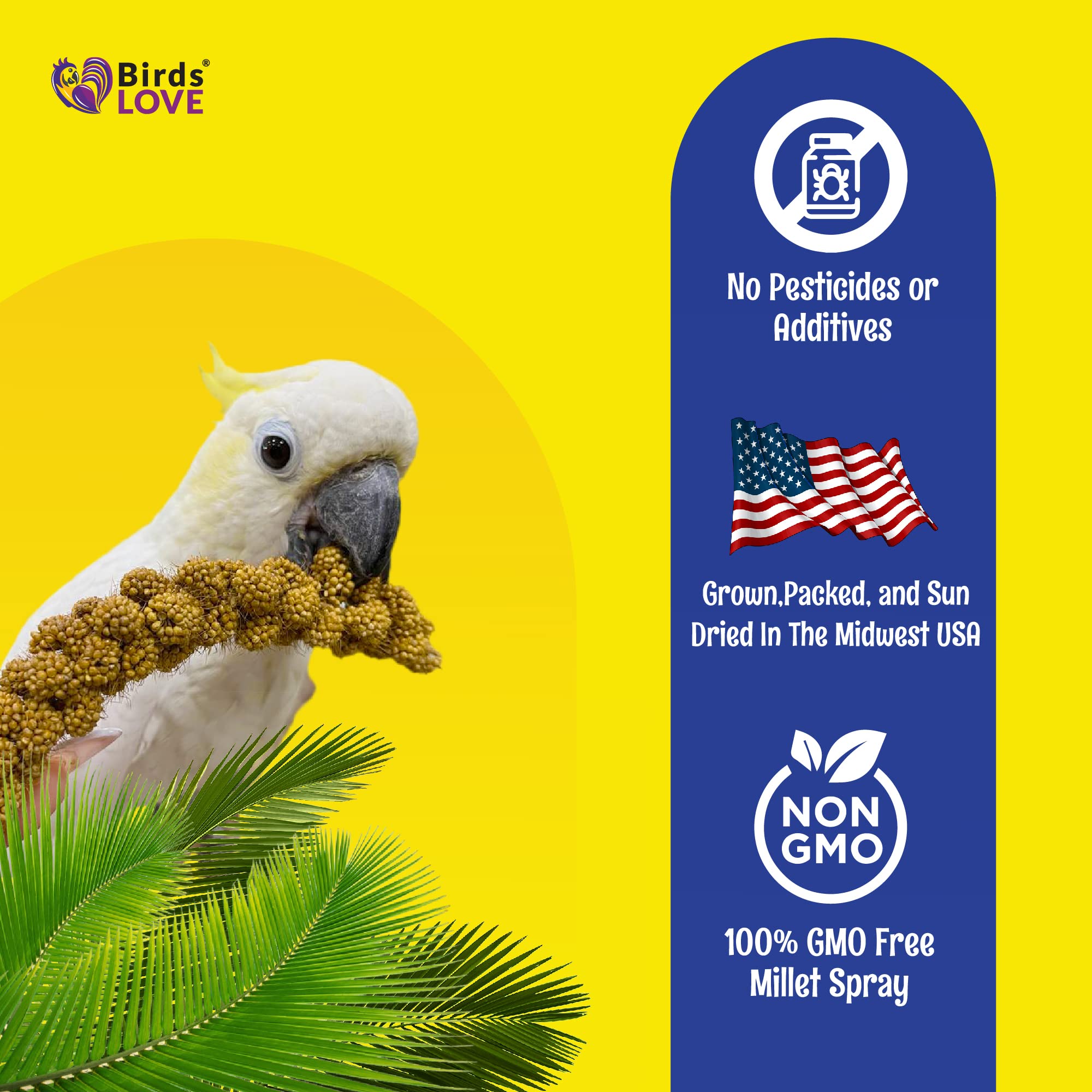 Birds LOVE no-stems millet illustration showing tops-only presentation.