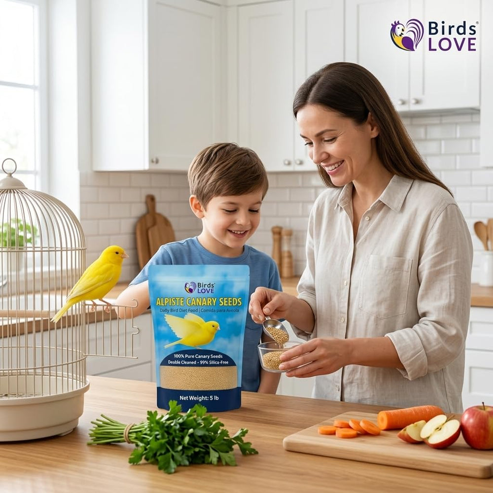 Birds LOVE premium seed – high protein and fiber for active companions.